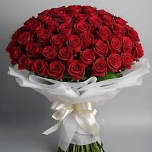 Букет 101 Красная роза Блэк Мэджик #REPLACE_PRED# Краснокумском