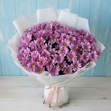 Букет цветов из:  Хризантемы в Краснокумском