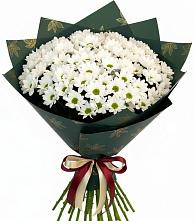 Букет цветов из:  Хризантемы #REPLACE_PRED# Краснокумском