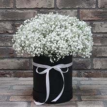 Цветочная композиция из Гипсофила в шляпной коробке в Краснокумском