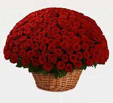 Премиум букет из: Розы в Краснокумском