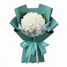 Букет цветов из:  Гортензия #REPLACE_PRED# Краснокумском